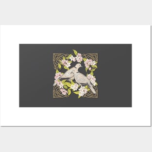 Celtic Collared Doves in Blossom Posters and Art